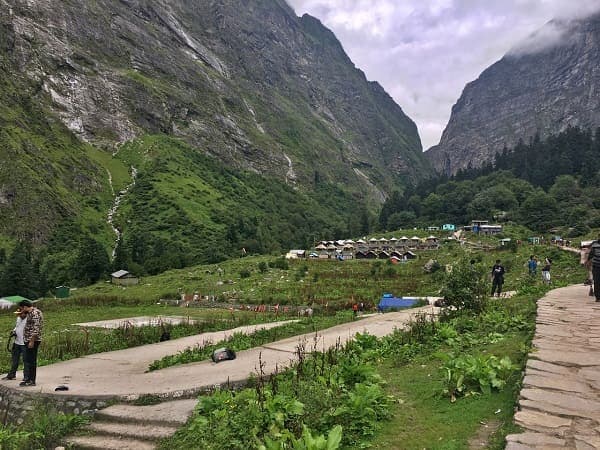 Redefining ‘Sanjeevani’ at the Valley of Flowers: Arvind Passey Editor – Education Post