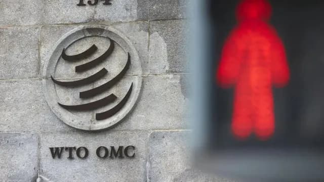 Services trade issues get less attention at WTO despite having over 20 pc share in world trade