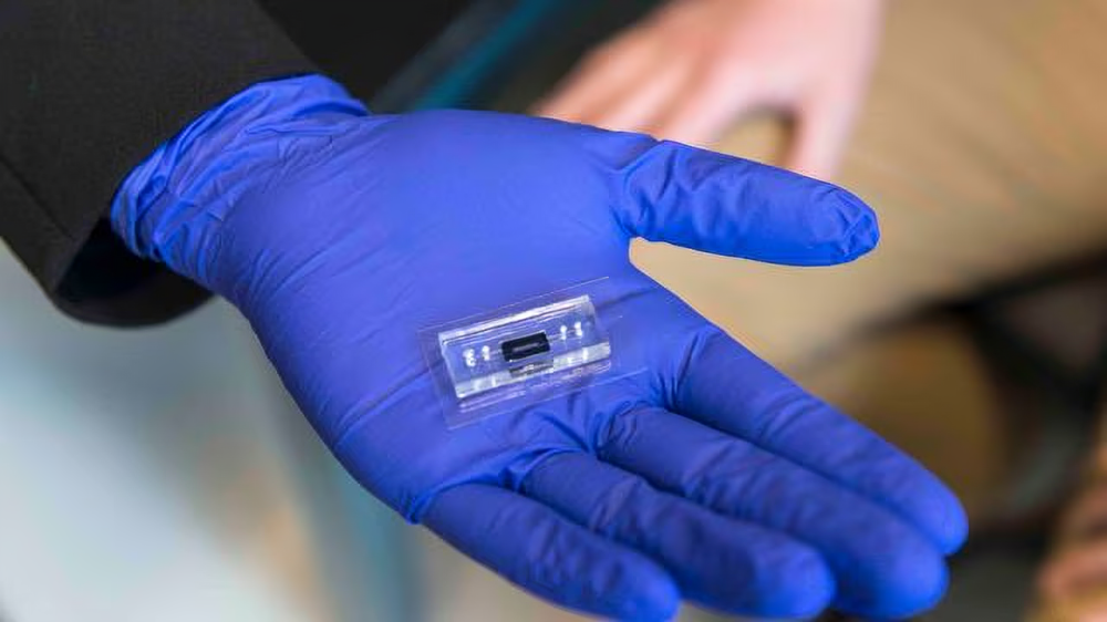 Microfluidic devices are being explored as new options for data storage on DNA. (RIT)