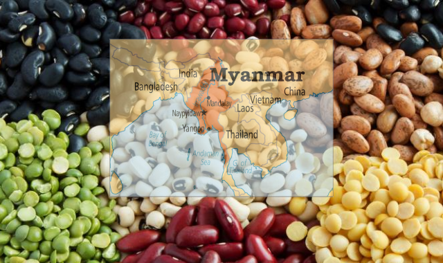 Enhancing Trade Relations: Strengthening Economic Ties with Myanmar