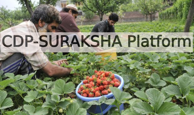 Strengthening India's Horticulture Sector: The Launch of CDP-SURAKSHA Platform