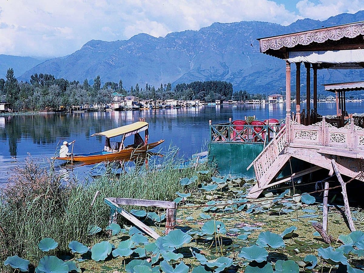 Deteriorating condition of Dal Lake catches NGT eye, seeks response from authorities 