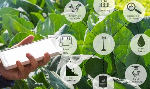 smart farming ecosystem