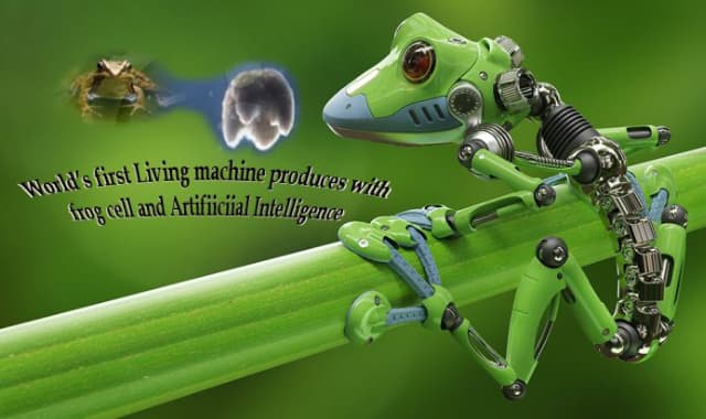 World’s First Living Machine: Frog cells and AI