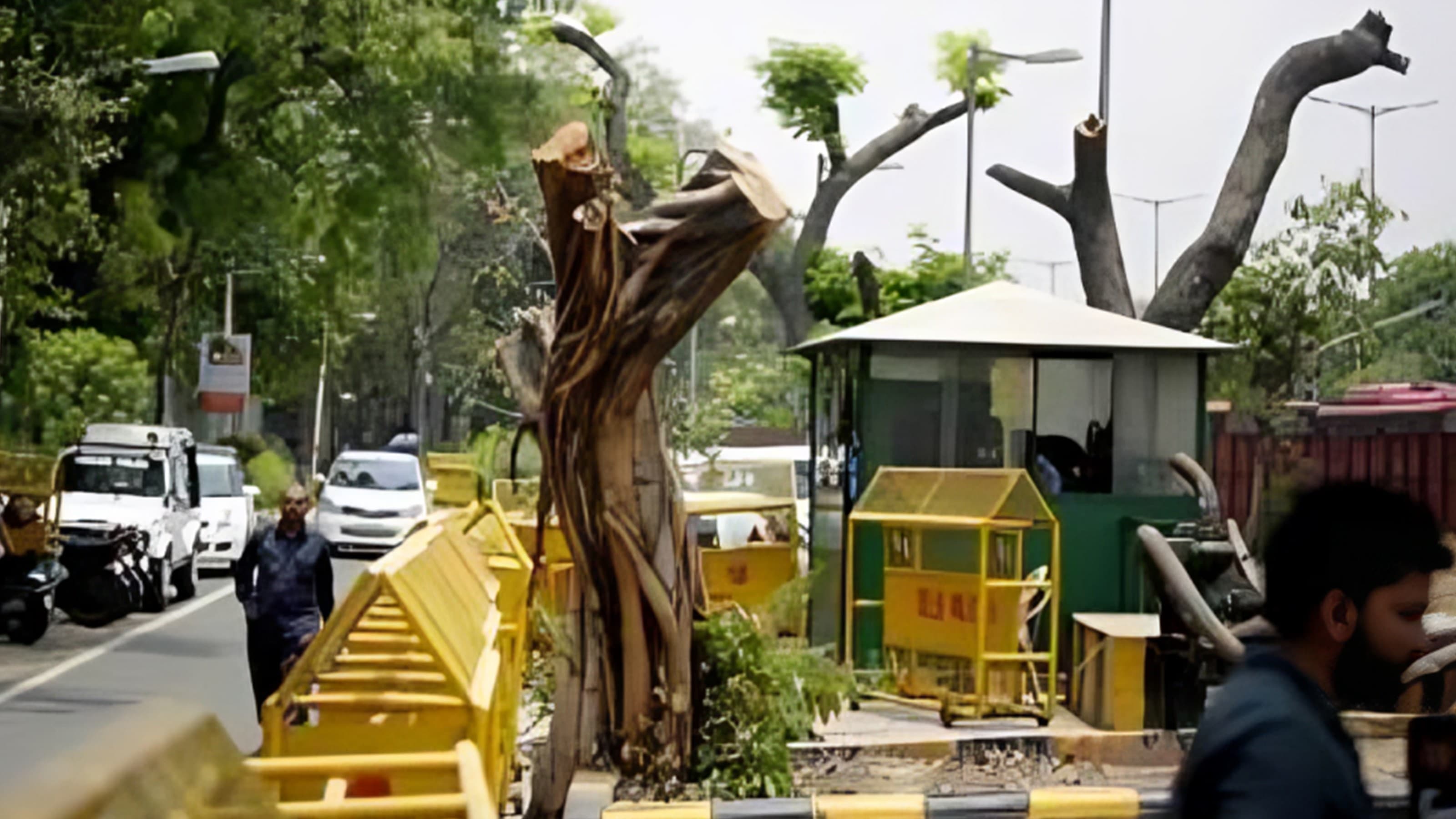 Trees cutting down in the national capital