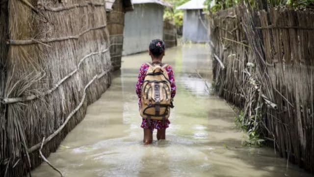 Climate change affects education