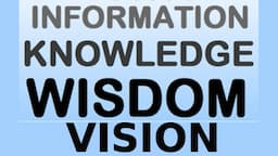 Information, Knowledge, Wisdom, and Vision