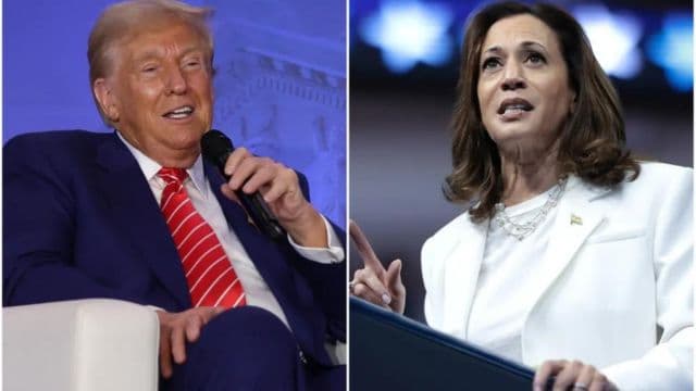 Donald Trump, Kamala Harris