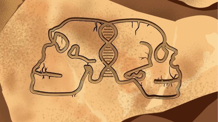 Princeton geneticists