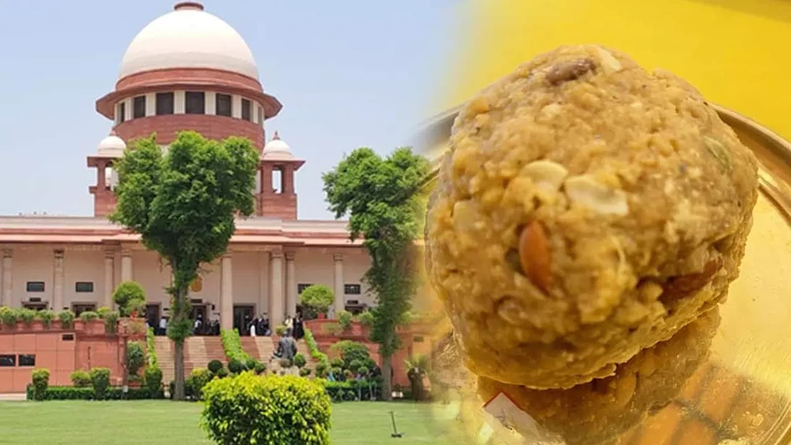 Supreme court on Tirupati ladoos