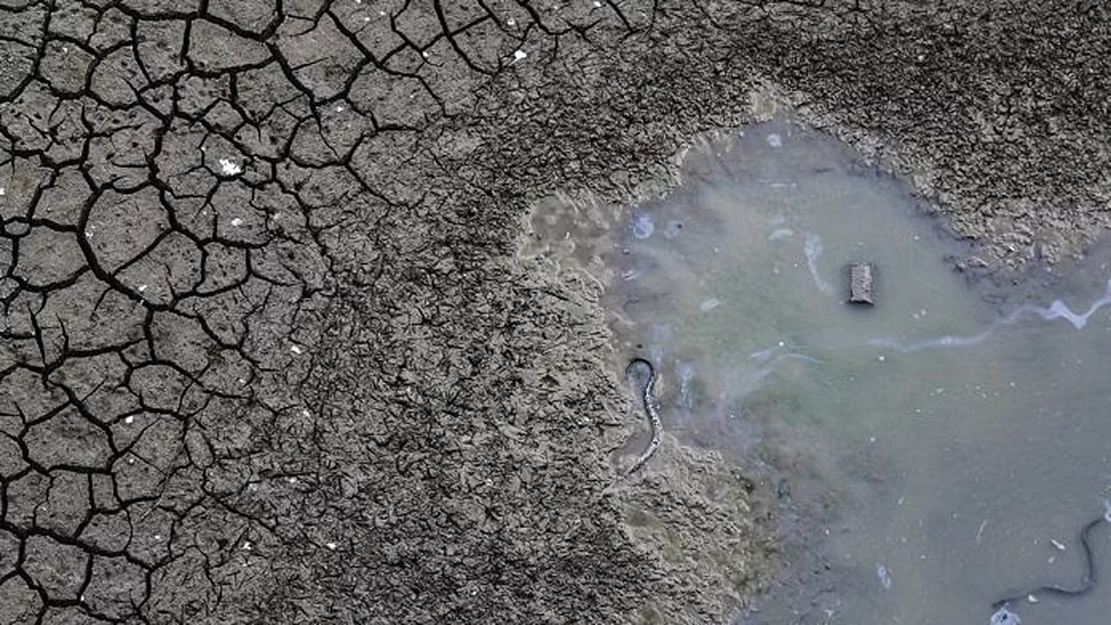 Meeting essential health and hygiene needs requires 50 to 100 litres of water per day. However, a dignified life, including proper nutrition and adequate consumption, necessitates a minimum of approximately 4,000 litres per person per day.  Photo: iStock