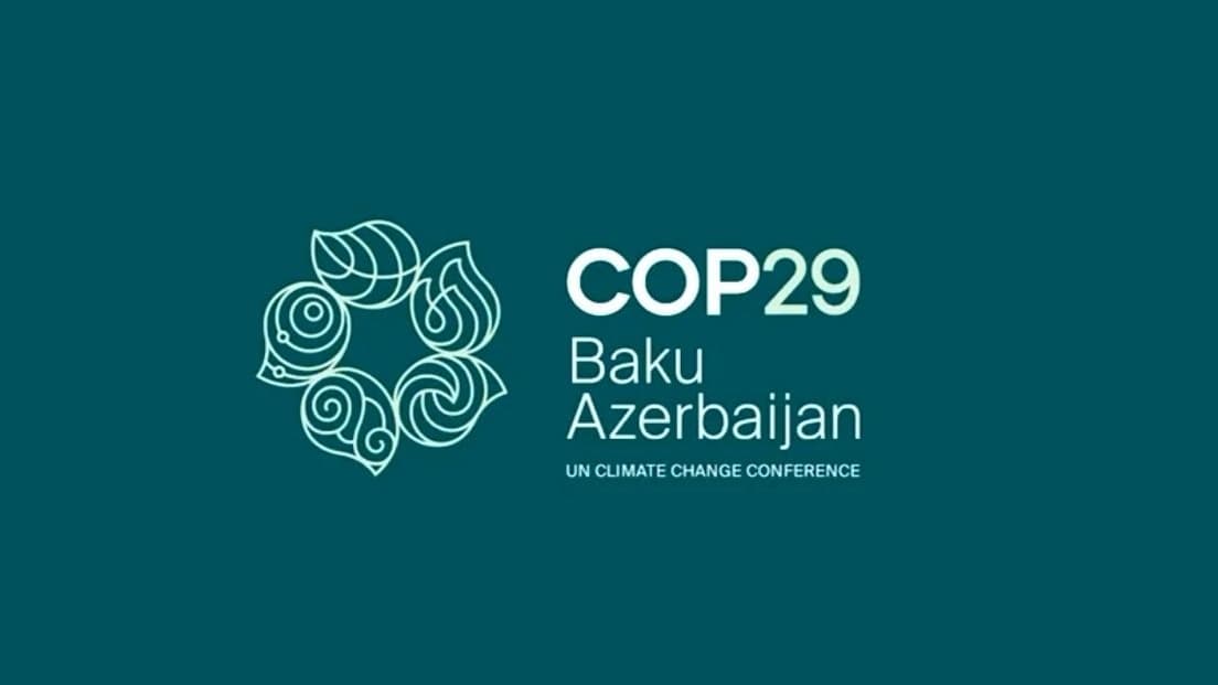 COP29 agrees to creating global carbon market under Paris Agreement's Article 6