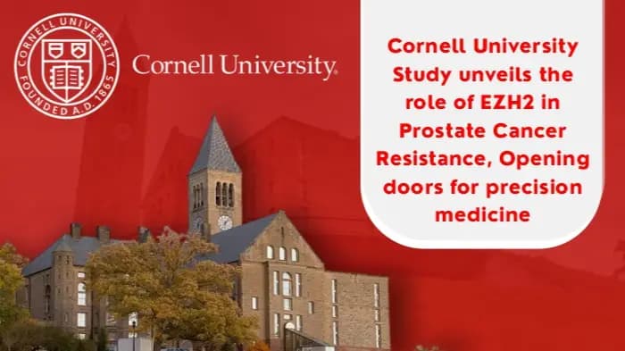 Cornell University