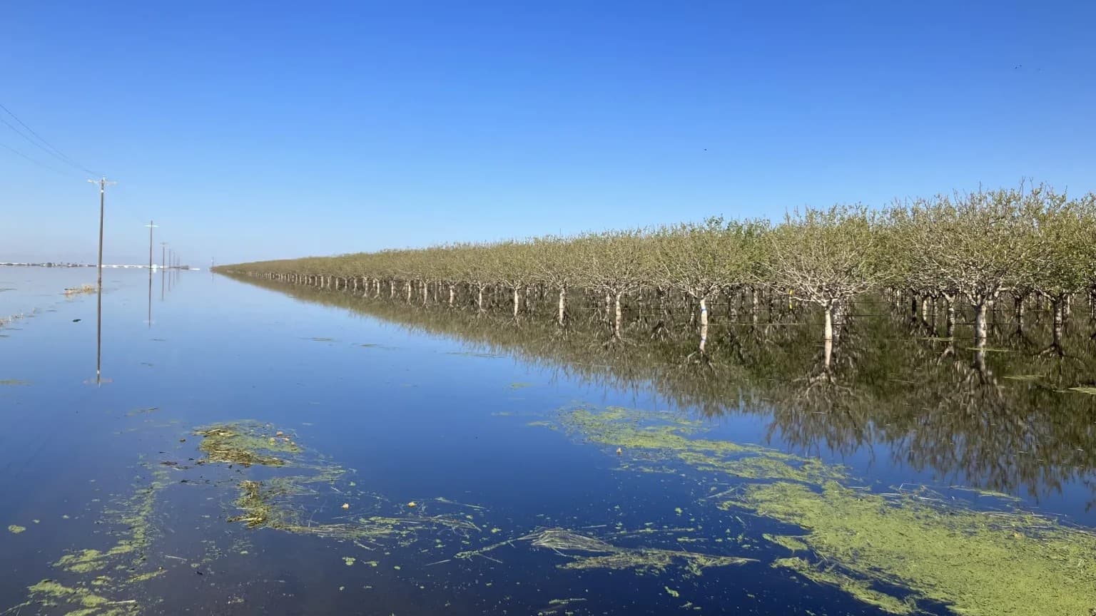 California's Tulare Lake reappears after 130 years to revive local ecosystem