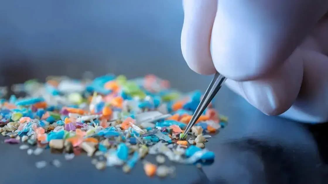 New study shows microplastic pollution could double by 2040 further deepening ecological crisis