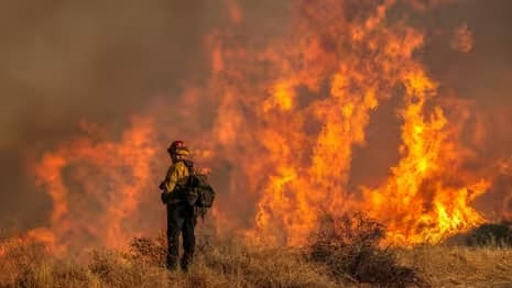 Los Angeles wildfires 