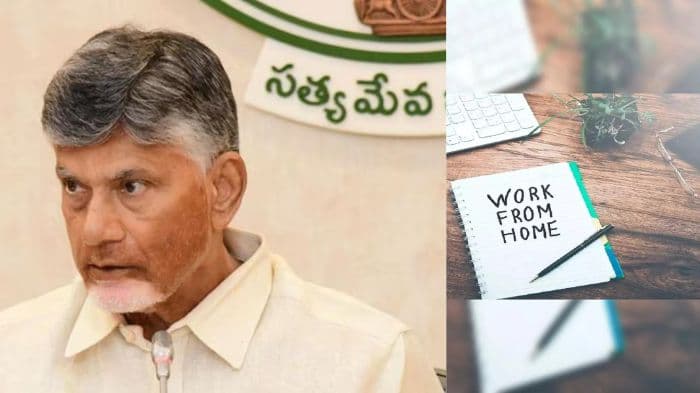 Andhra Pradesh pushes for ‘work from home’ in IT to promote women’s employment