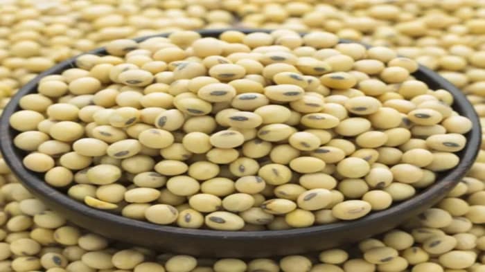 Why are soybean wholesale prices so low, and why haven’t government purchases helped?