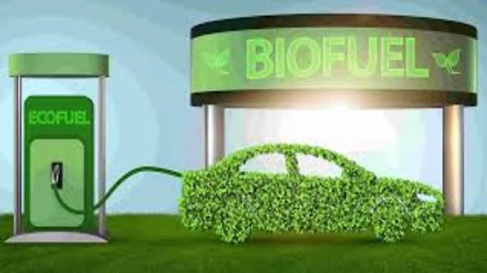 India is now the third-largest producer of biofuel worldwide