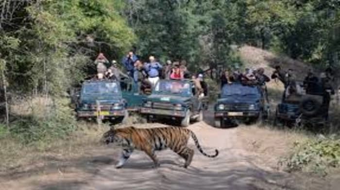 The seventh National Board for Wildlife meeting is chaired by the prime minister