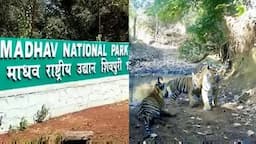 58th tiger reserve in Madhya Pradesh