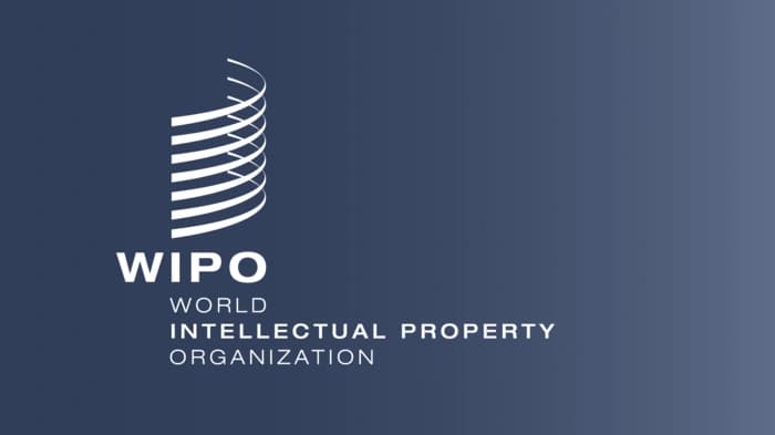 India has increased its IP filings, according to the World Intellectual Property Organization (WIPO)