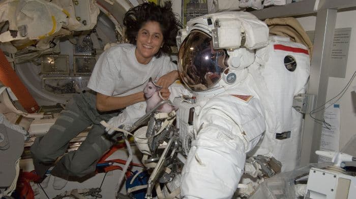 NASA-SpaceX delay return mission of stranded astronauts Sunita Williams, Butch Wilmore