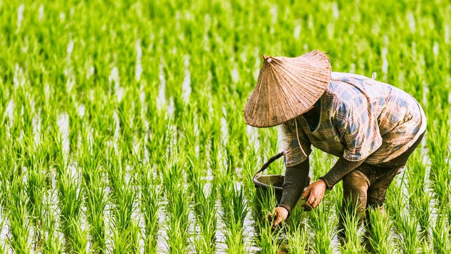 Microsoft co-founder Bill Gates praises Odisha's digital agriculture initiatives