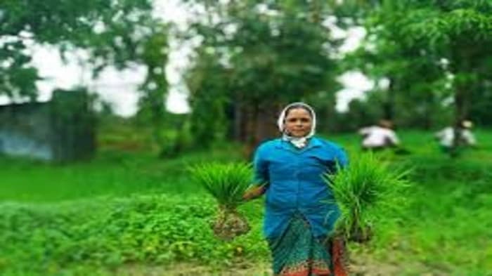 MoAFW gave guidelines on bio-input resource centres under NMNF