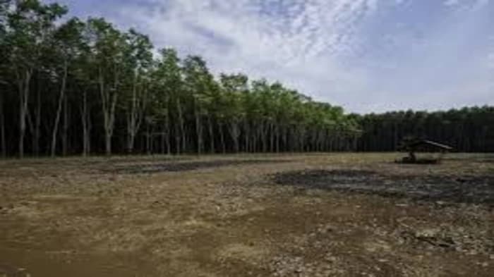 The NBA has announced the Biological Diversity (Access to Biological Resources and Associated Knowledge and Fair and Equitable Sharing of Benefits) Regulation, 2025