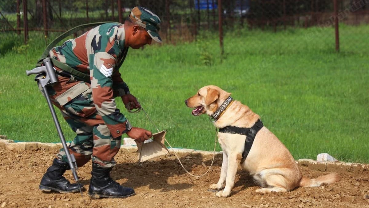 Indian Army announces RVC recruitment 2025 for veterinary graduates