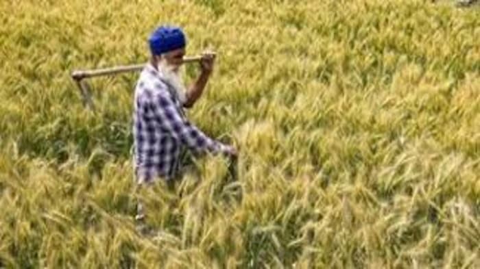 The central government is anticipated to introduce a nationwide Natural Farming Certification System (NFCS) 