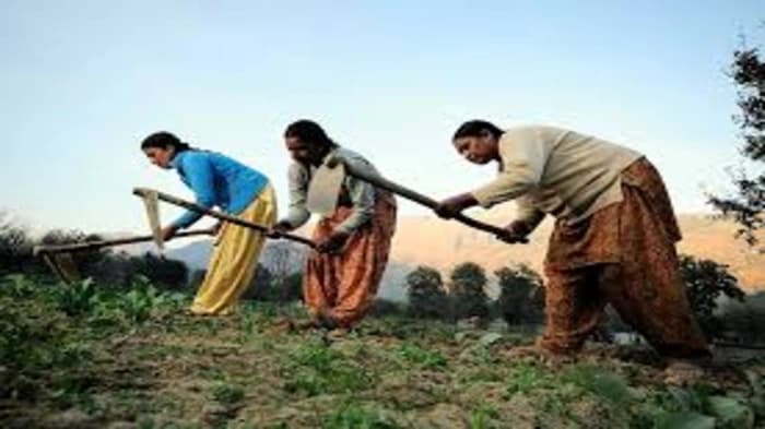 Why does India's agriculture sector not participate in its free trade agreements? 