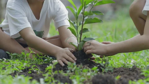 Delhi kicks off student-led campaign for climate action and green education