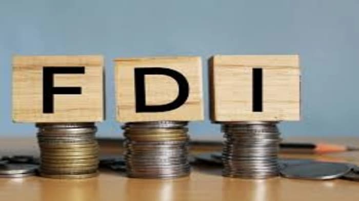 Let's find out why net foreign direct investment fell 96% to $353 million in FY25
