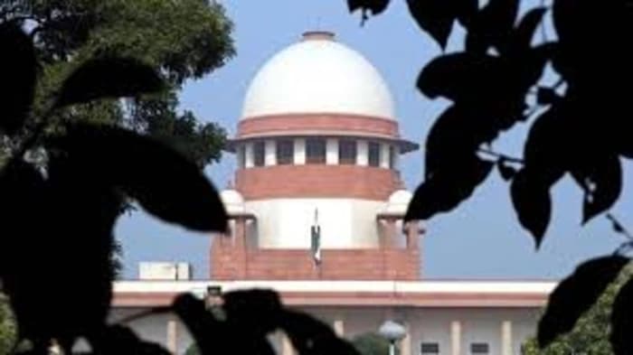Buildings constructed prior to 1996 are exempt from the Supreme Court's designation of the Zudpi Jungles as a forest territory