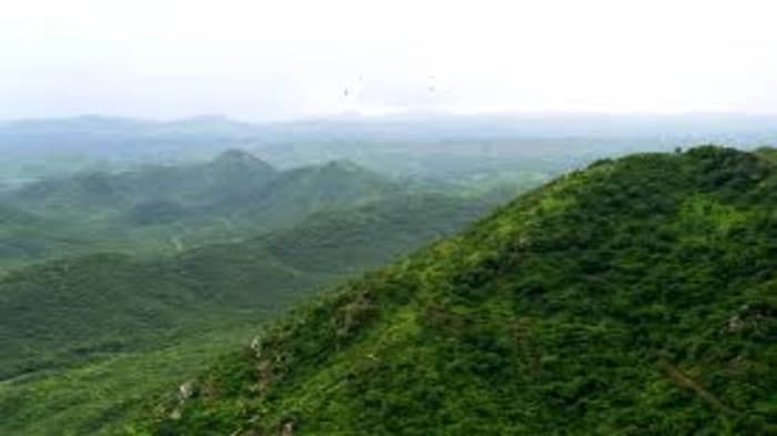 The Indian Prime Minister will launch the Aravalli Green Wall project on World Environment Day 