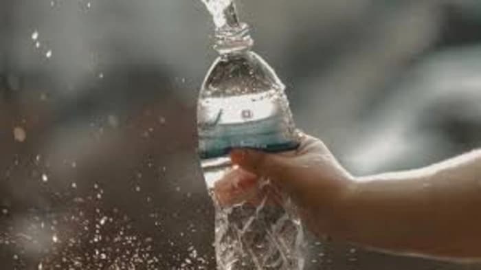 Study conducted by researchers at the University of Illinois at Urbana-Champaign, nanoplastics are dangerous 