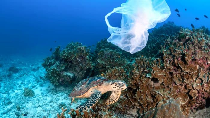 UN Ocean Conference 2025 opens amid warnings of ‘planetary emergency’