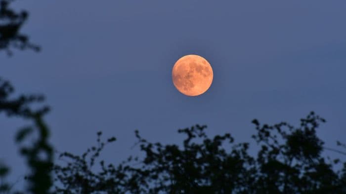Spectacular Strawberry Moon to Grace Skies Worldwide on June 10–11