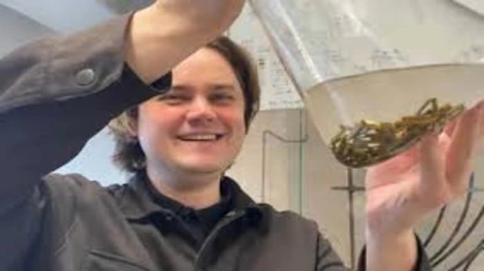 Researchers in Finland have created an environmentally friendly chemical method utilizing natural fatty acids from cooking oils to extract silver from e-waste