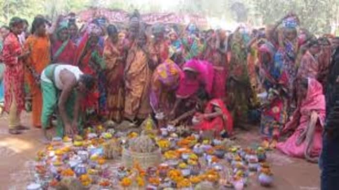 Conservation of Indigenous Seed Varieties in India 