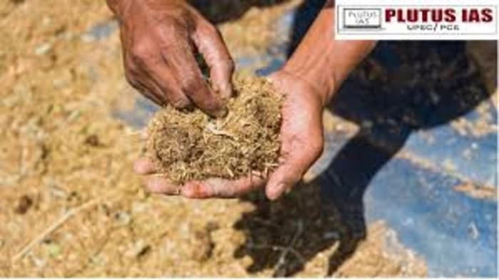 Combating Antimicrobial Resistance (AMR) through Insect-Derived Animal Feed 