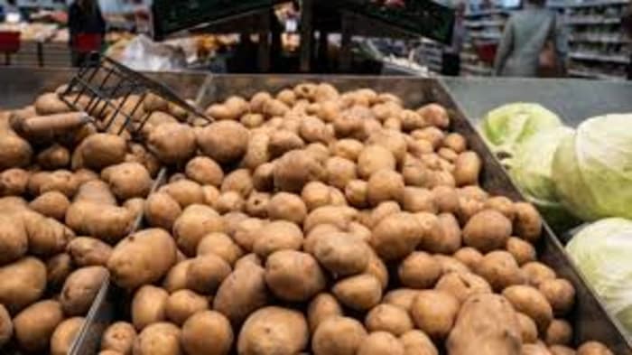 The Union Cabinet has sanctioned the creation of an international potato research center in Agra