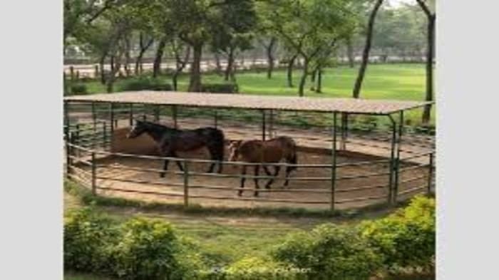 India's first Equine Disease-Free Compartment has received official recognition from the World Organisation for Animal Health 