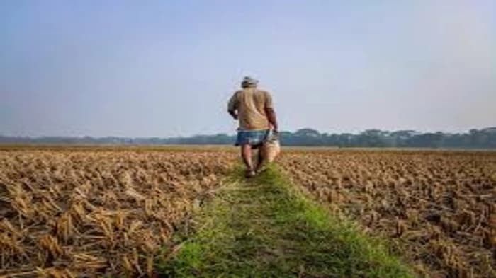 Concerns  for proposed amendments to Peru's International Treaty on Plant Genetic Resources for Food and Agriculture (Plant Treaty)