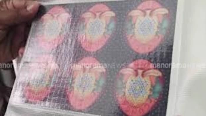 A 35-year-old Keralan engineer was arrested for operating as a Level-4 darknet vendor