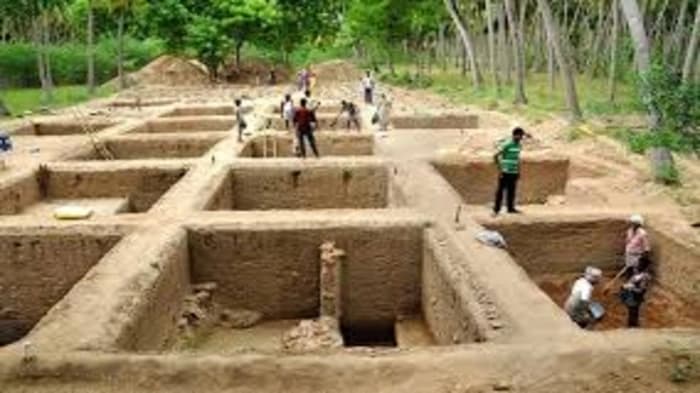 23 charcoal samples from seven excavation sites have been sent to the Beta Analytic Laboratory in the United States by TNSDA