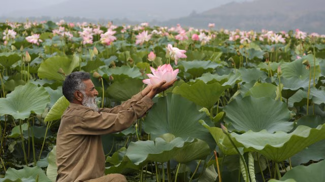 Wular Lake