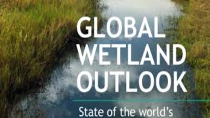 Global Wetland Review for 2025 